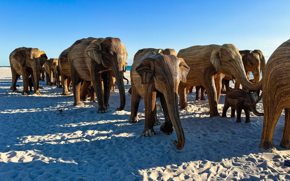 The Great Elephant Migration art installation on Miami Beach