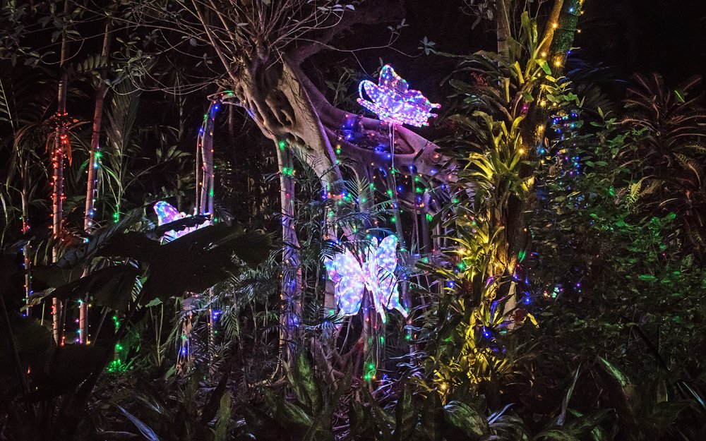 Butterfly lights at Night of Lights at Pinecrest Gardens