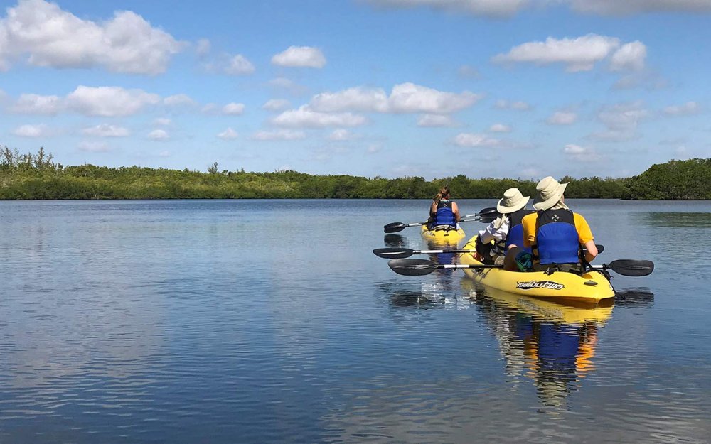 A group of kayakers out in the water