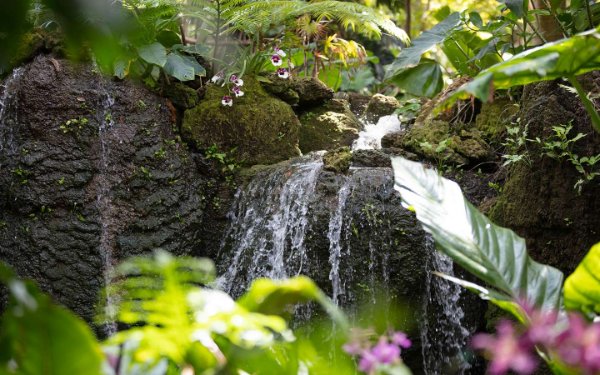 Fairchild Tropical Botanic Garden