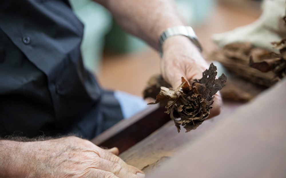 Cigar Roller in Little Havana making a cigar