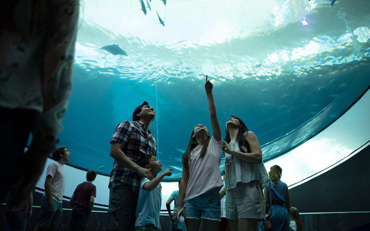 Family enjoys 31-foot oculus lens at Frost Science Museum Miami