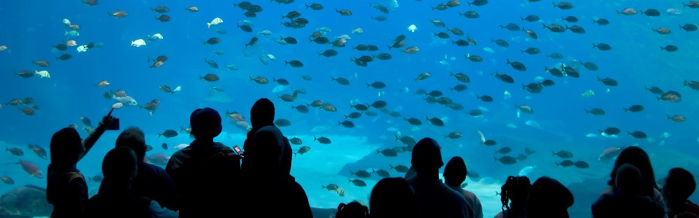 family in aquarium