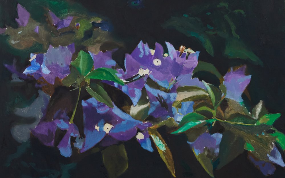  Bougainvillea , 2023 oil on canvas