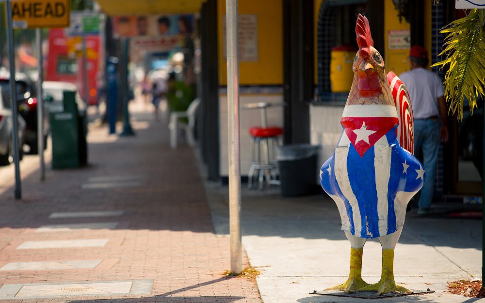 Rooster with the Cuban flag in Little Havana