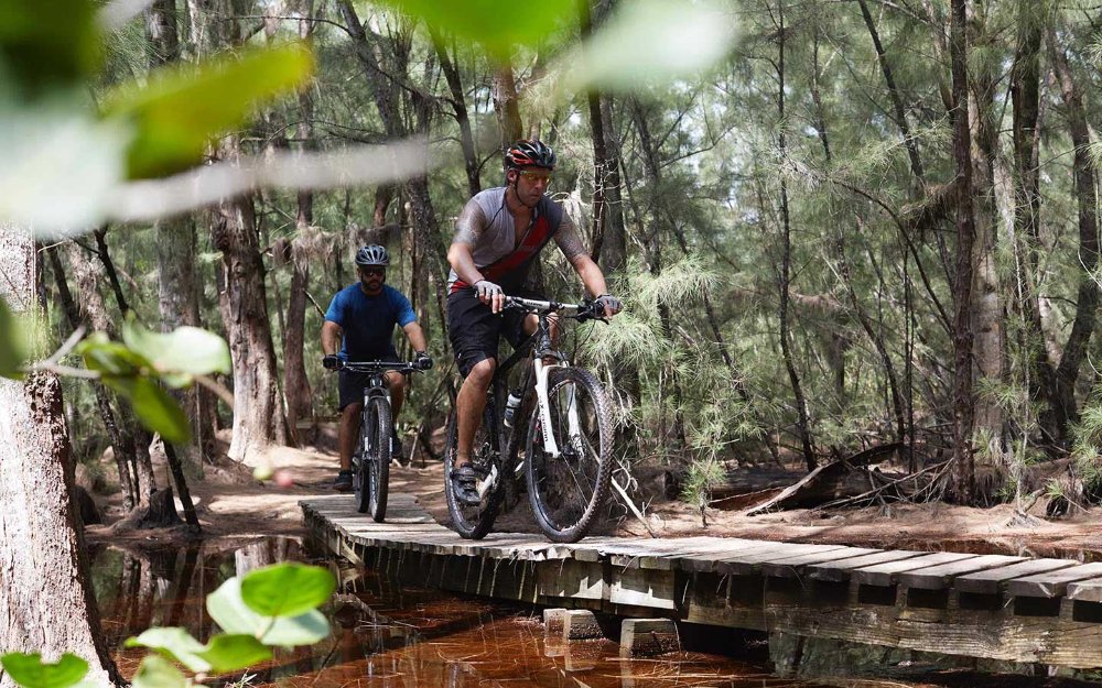 Men bicycling on a scenic path in Oleta River State Park