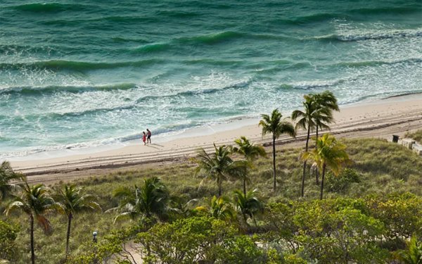 Aerial view of the beach